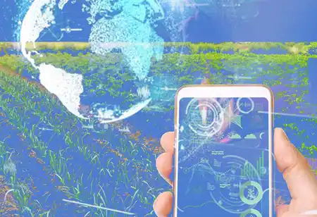 Streamlining Training Programs with LMS 