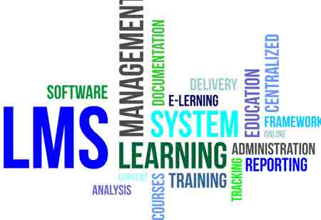 Why Do Organizations Need an LMS?